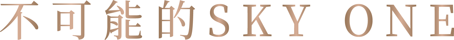 極致公設 精銳Sky One 公共設施